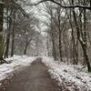 florianfr1992
