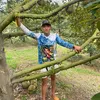 Dương 49