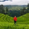 phambinh74190