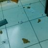 meletkepeletdelapan