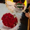 ashrakatebrahim701