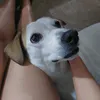 kamilaaasouza