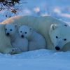 khaled_90_.com7