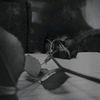 abdullah_ibr_