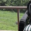 seansingerthatsmyname