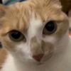 user8enkyamyxi