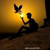 raeesshan14