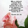 maricruzgonzales07