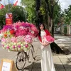 hoaihoai20033