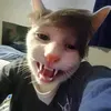 yelongdilaw6