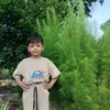 sauhan1985