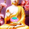 user104540233