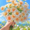 user1141772009020