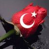 tovbekar844