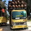 sumberrezekigrup