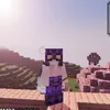 lesuituu
