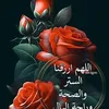 radiaradiahamadou