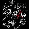 skzzzz16
