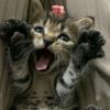 htetnady3