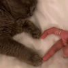 lil_5_55