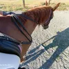 harolwfan709