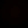 _wong.urep84_