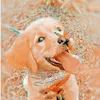 tanish_preppys1