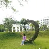 hathichinhk10