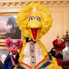 ilovebigbird77