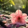 matto041116