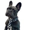 riothefrenchiero