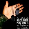 kaibillmurillo504