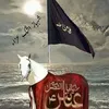 muhammadimrankhan8753