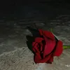 dbkdkvcfcknecjck7