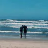 idaes_nitram