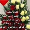 usernjvn7seo0l