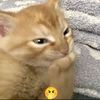 greasyfrenchfryknuckles