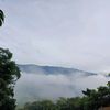 mirnaguerra123