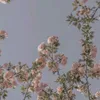 _._natkaaaa