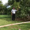 mainhutrong