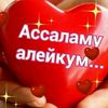 user51177660070521