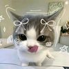 ain_prdh