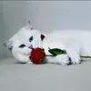 nuradrianna15