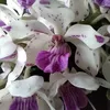 xuan_dai88