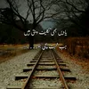 malikjindwda0795