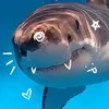 fjeidogjdidogjdk