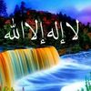 zaki.zaki34249