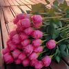 dildar.mashi52