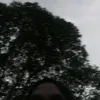 sibungsu_1g