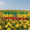 mesay037
